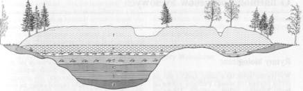 tmpdedc-1