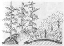 tmpfdcc-1